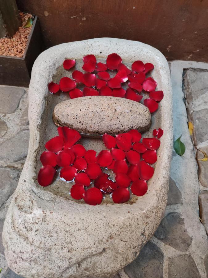 Casa Carmen Reforma Hotel Oaxaca Kültér fotó