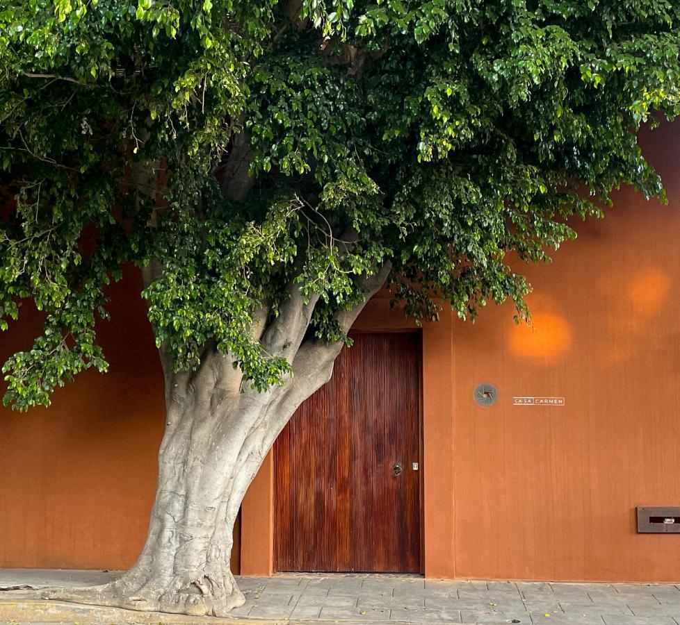 Casa Carmen Reforma Hotel Oaxaca Kültér fotó