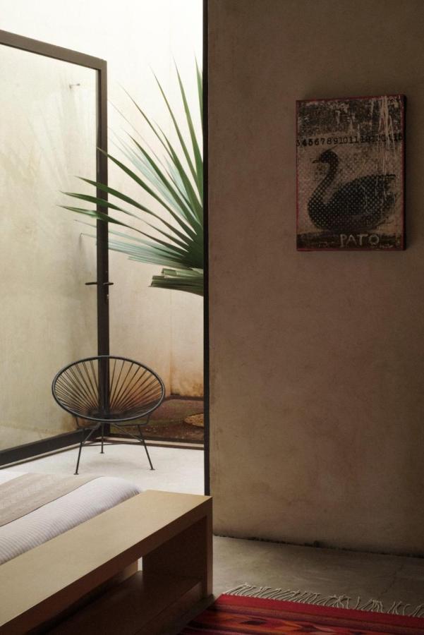 Casa Carmen Reforma Hotel Oaxaca Kültér fotó