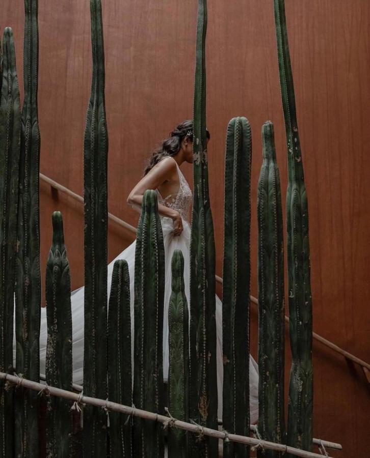 Casa Carmen Reforma Hotel Oaxaca Kültér fotó