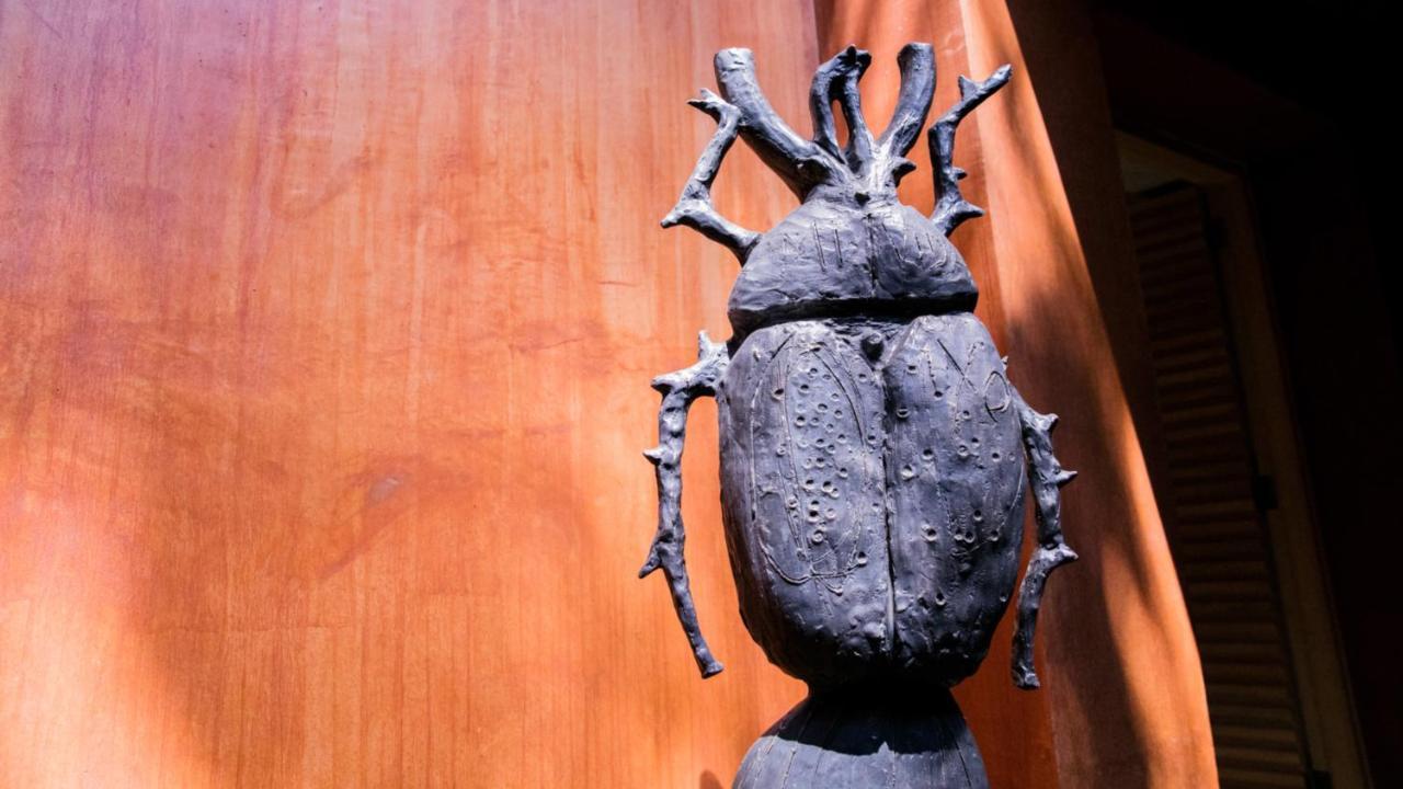 Casa Carmen Reforma Hotel Oaxaca Kültér fotó